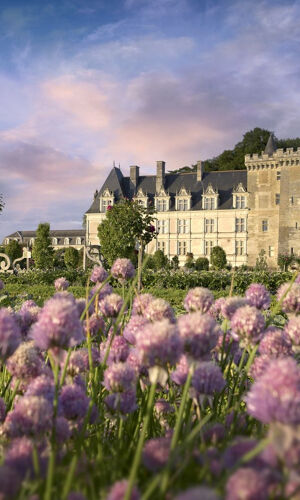 Château de Villandry: Billet d'entrée