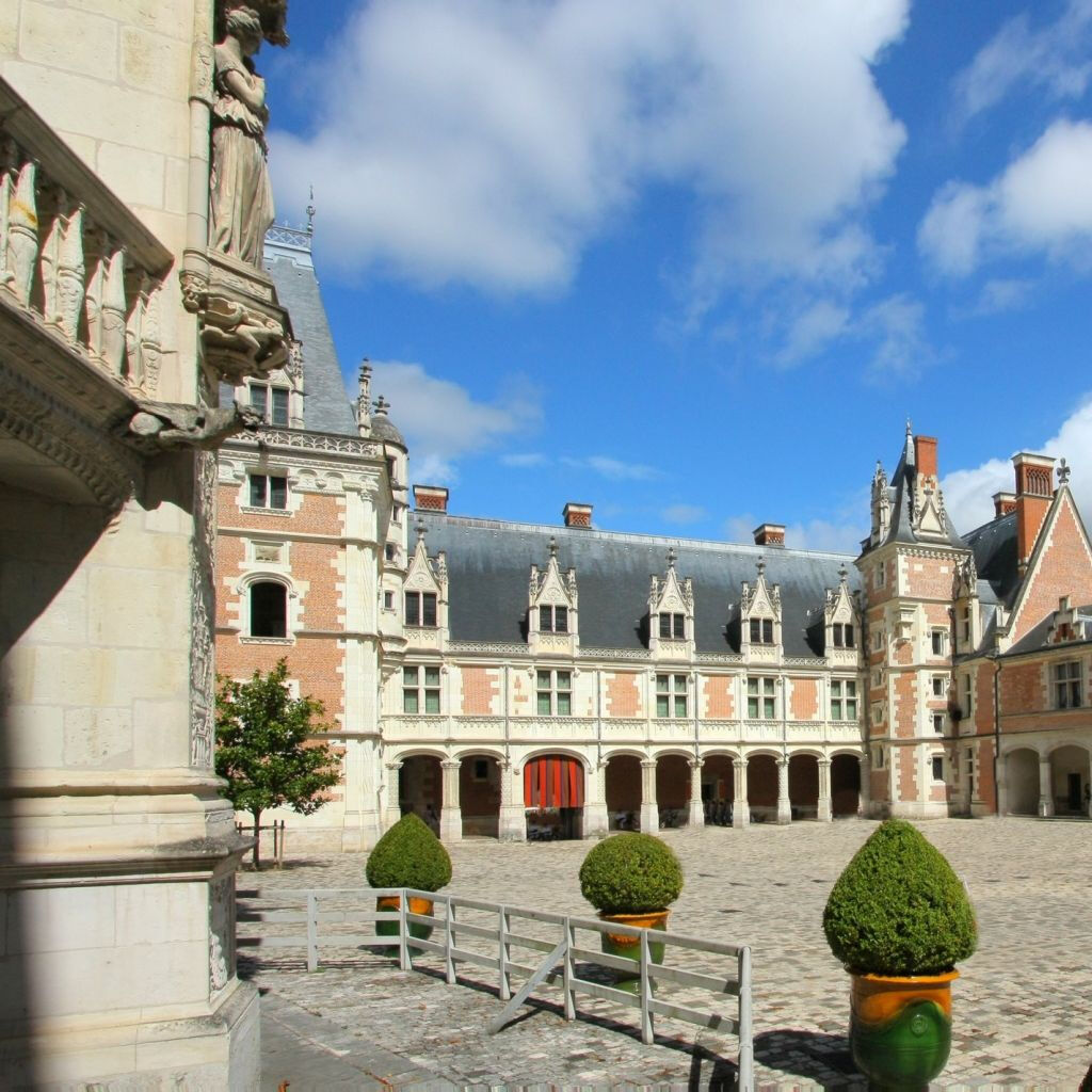 Royal Château de Blois: Entry Ticket
