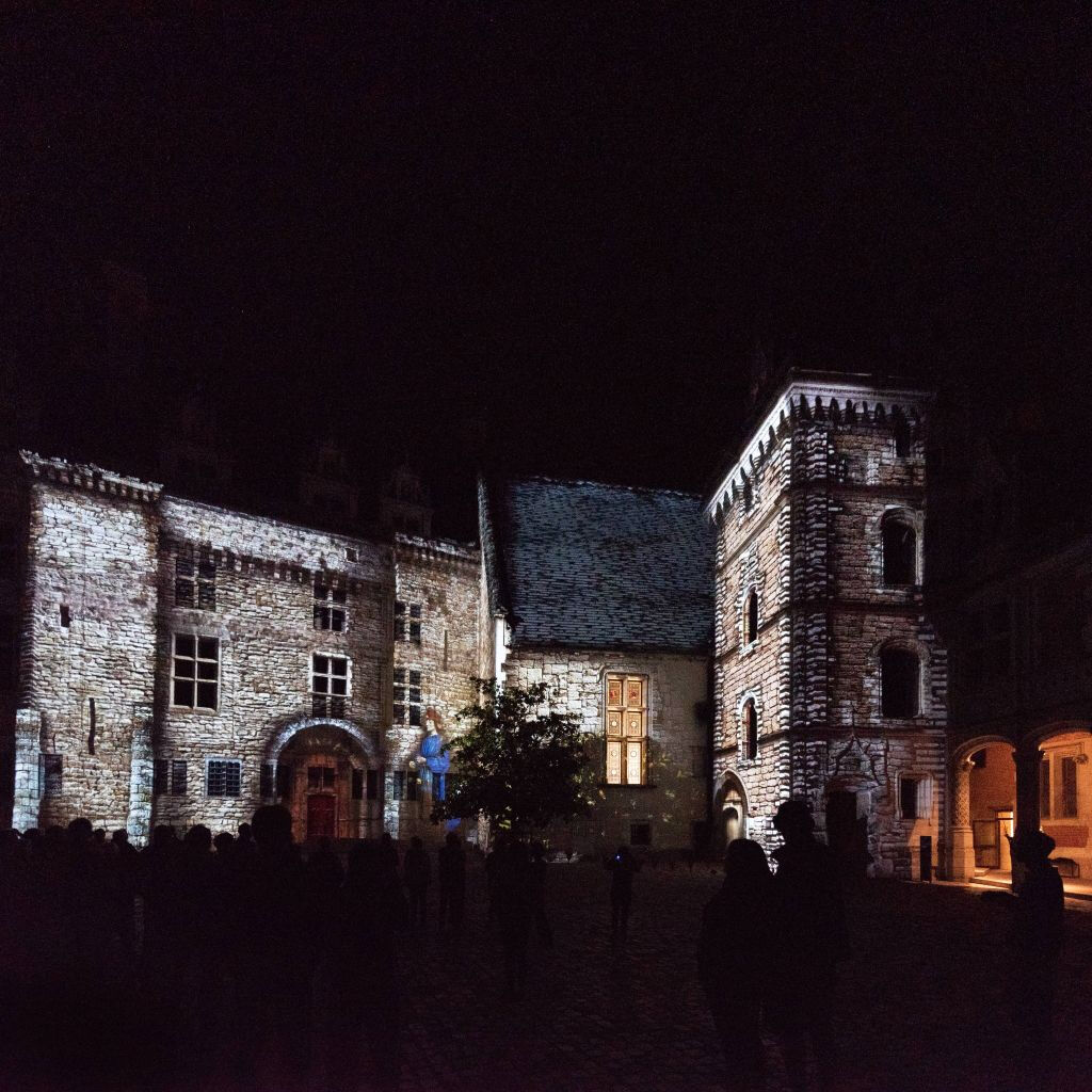 Royal Château de Blois: Entry Ticket