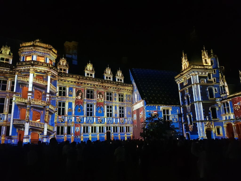 Royal Château de Blois: Entry Ticket