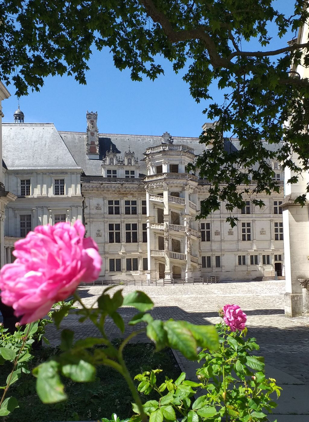 Royal Château de Blois: Entry Ticket