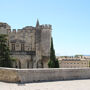Palais des papes et jardins : Billet d'entrée