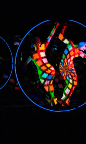 Crazy Horse Paris : Spectacle seul