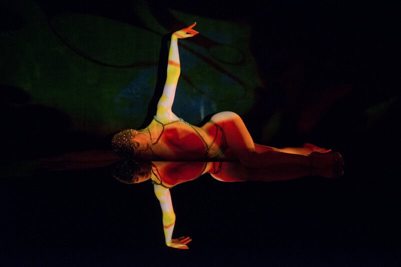 Crazy Horse Paris: Somente show