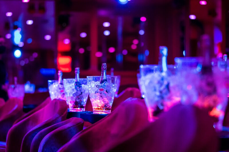 Crazy Horse Paris: Somente show