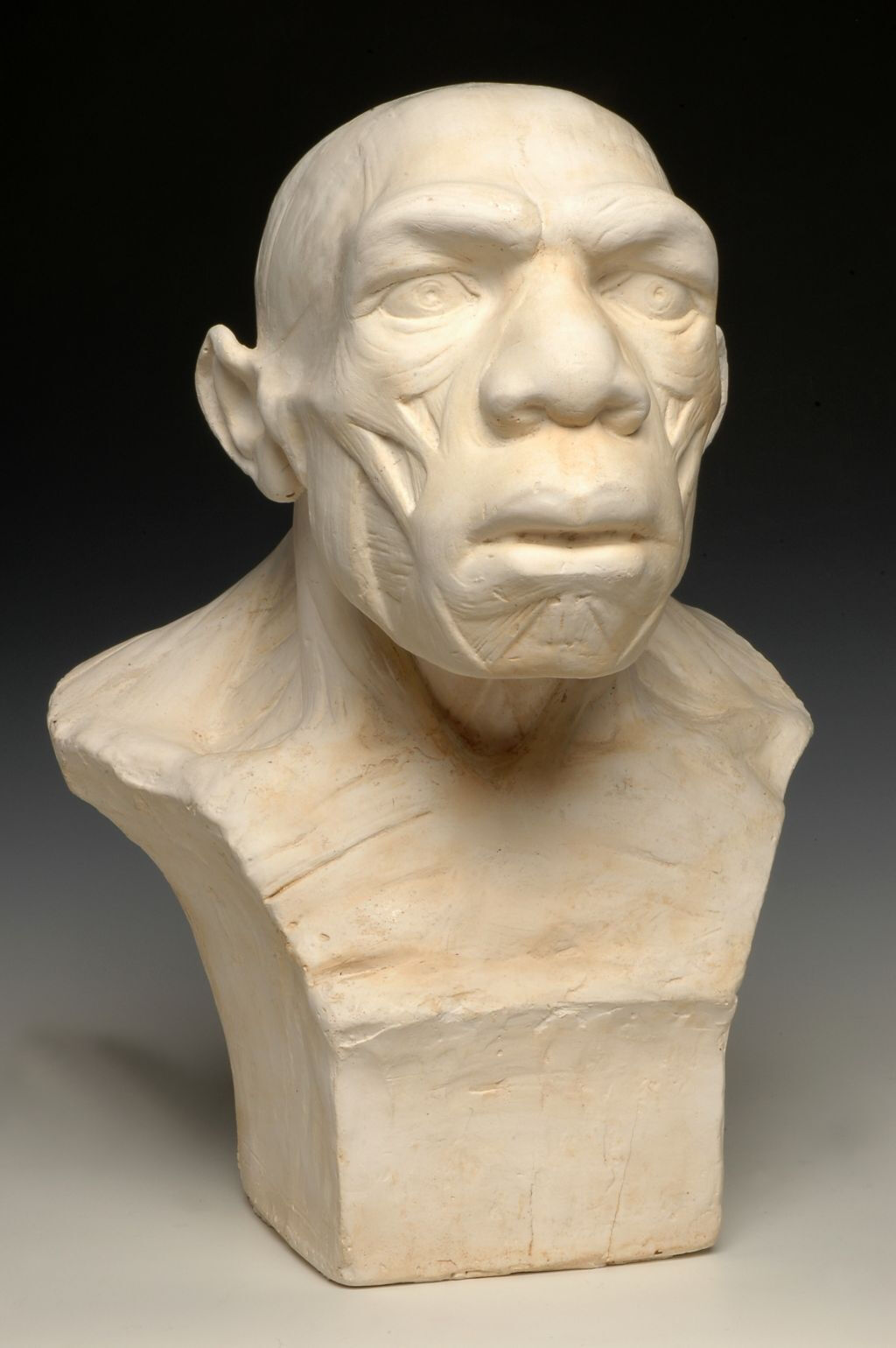 Musée de l’Homme: Billet coupe-file