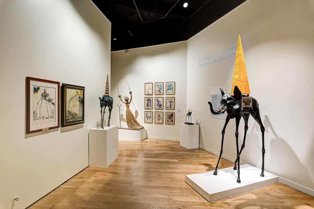 Dalí Paris: Bilhete de entrada