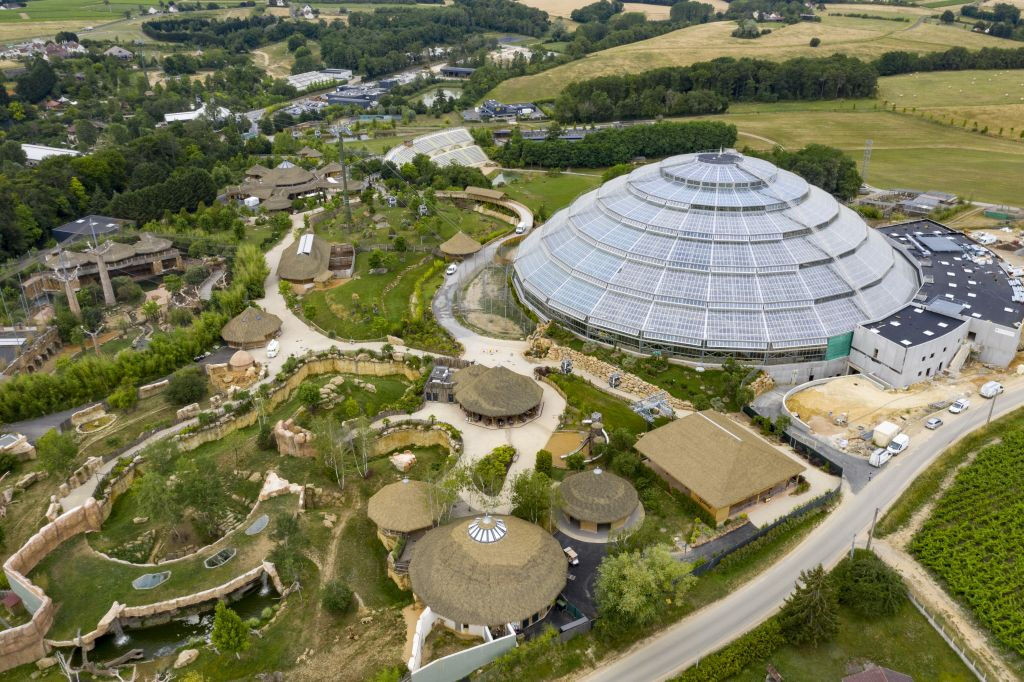 ZooParc de Beauval: Billet d'entrée