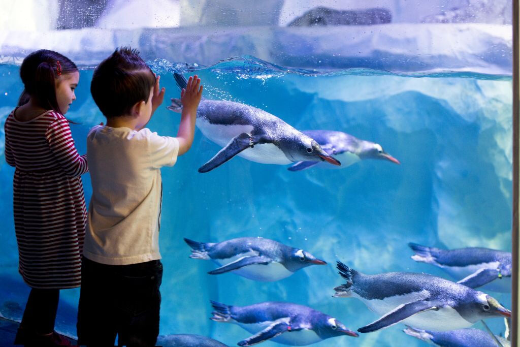 Aquário SEA LIFE Paris