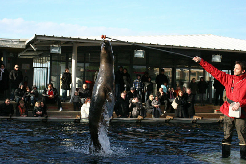 Seaquarium Le Grau-du-Roi: Entry Ticket