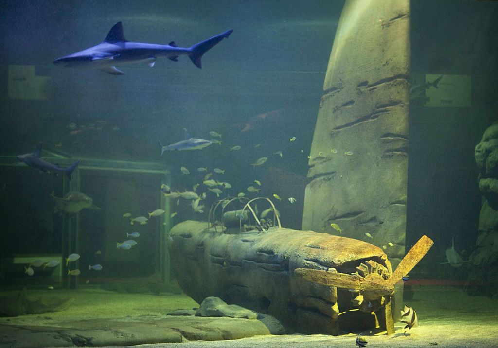 Seaquarium Le Grau-du-Roi: Entry Ticket