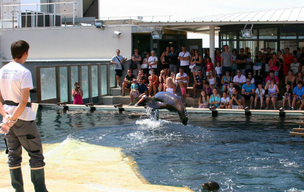 Seaquarium Le Grau-du-Roi: Entry Ticket
