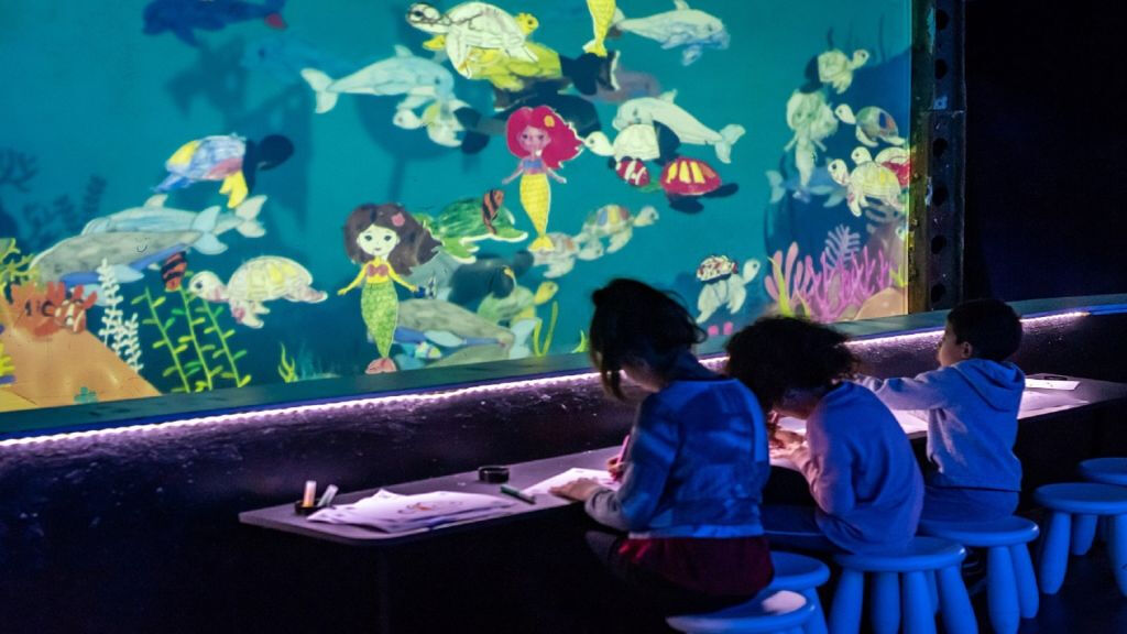 Seaquarium Le Grau-du-Roi: Entry Ticket
