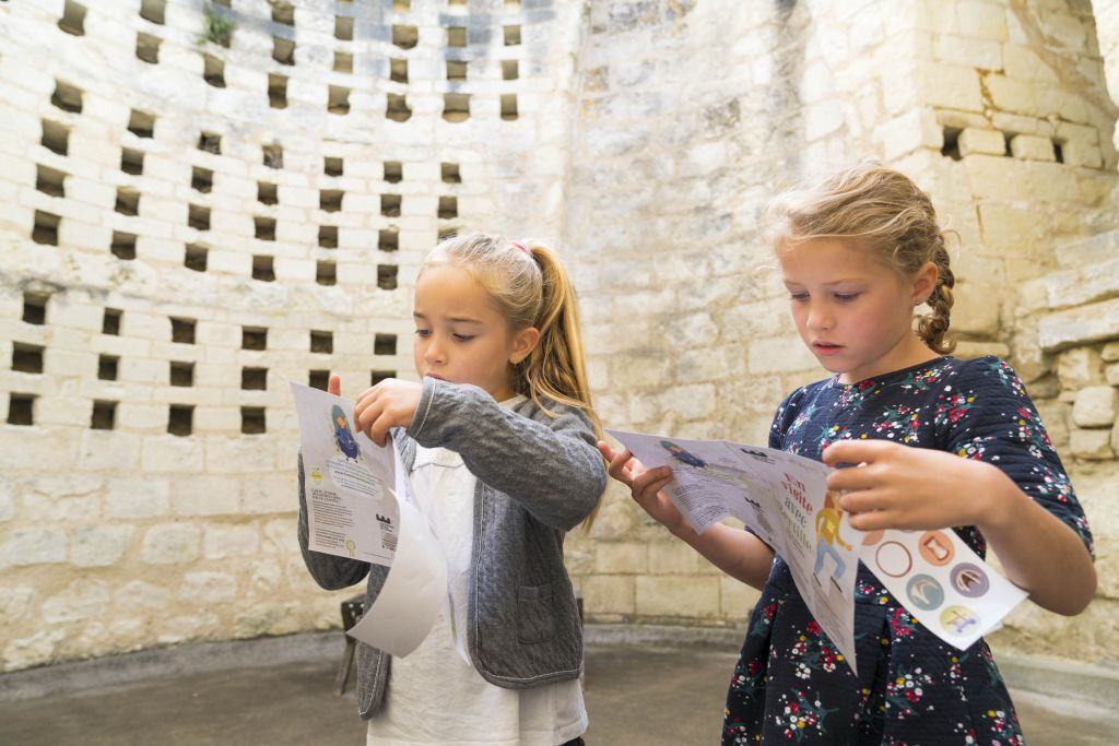 Forteresse royale de Chinon: Billet d'entrée + Audioguide