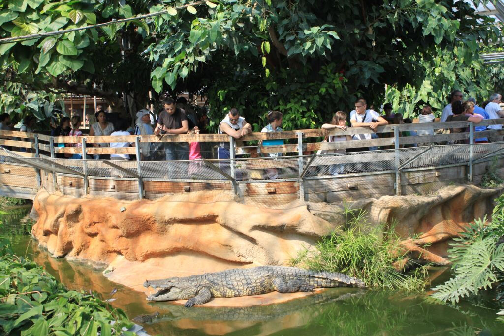 La Ferme aux Crocodiles: Entry Ticket