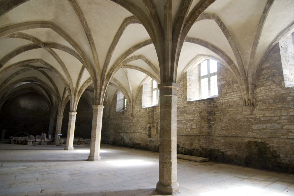 Abadía de Cluny + Museo: Acceso rápido