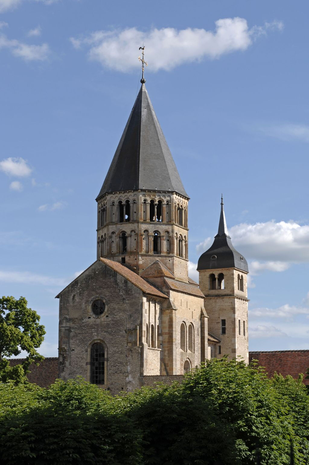 Abadía de Cluny + Museo: Acceso rápido