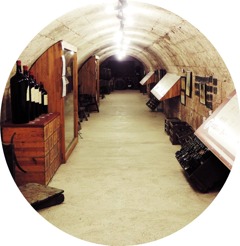 Musée du Vin et du Négoce: Biglietto d'ingresso