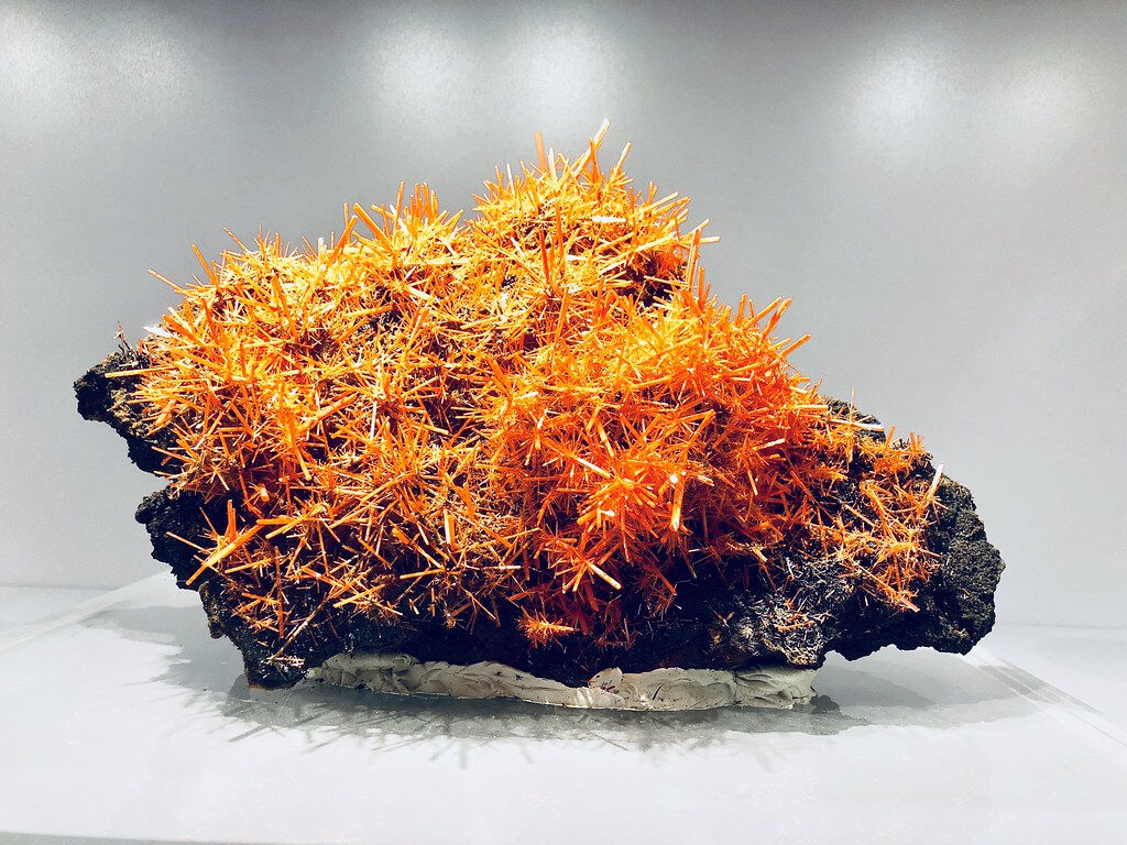 Galerie de géologie et de minéralogie: Billet d'entrée