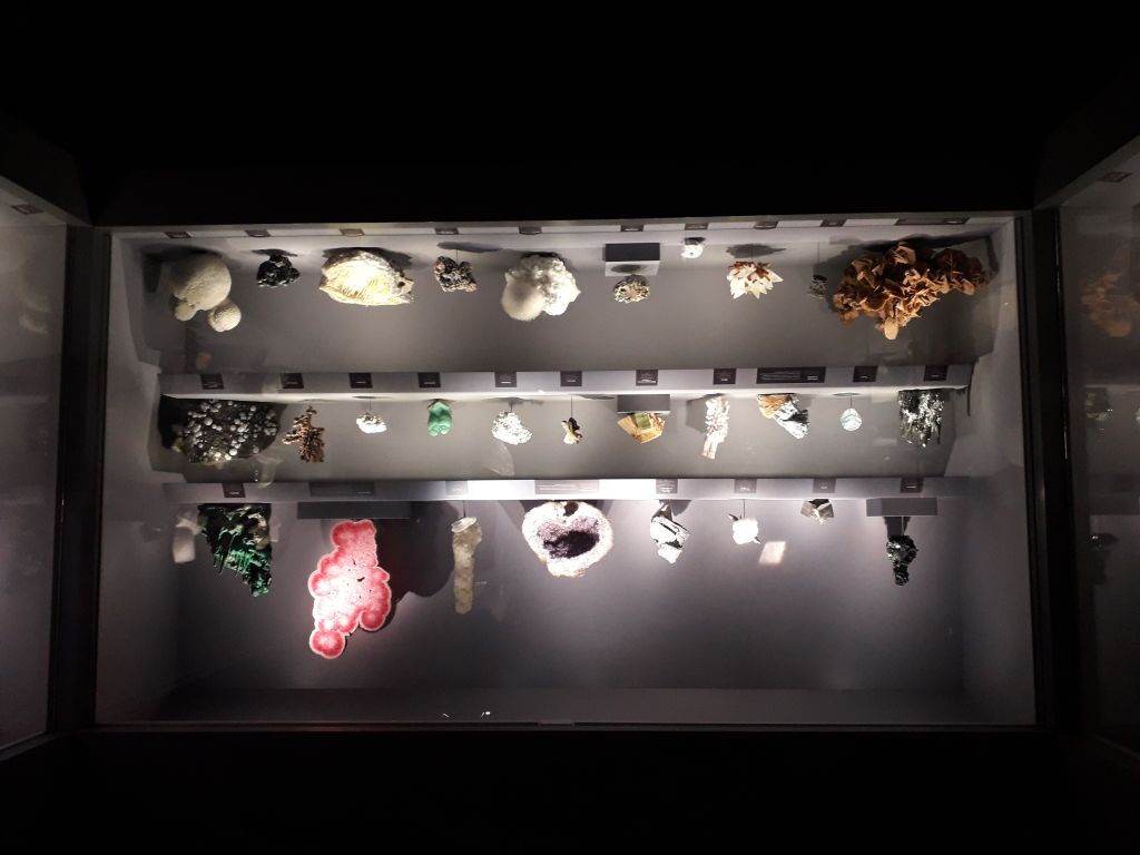 Galerie de géologie et de minéralogie: Billet d'entrée