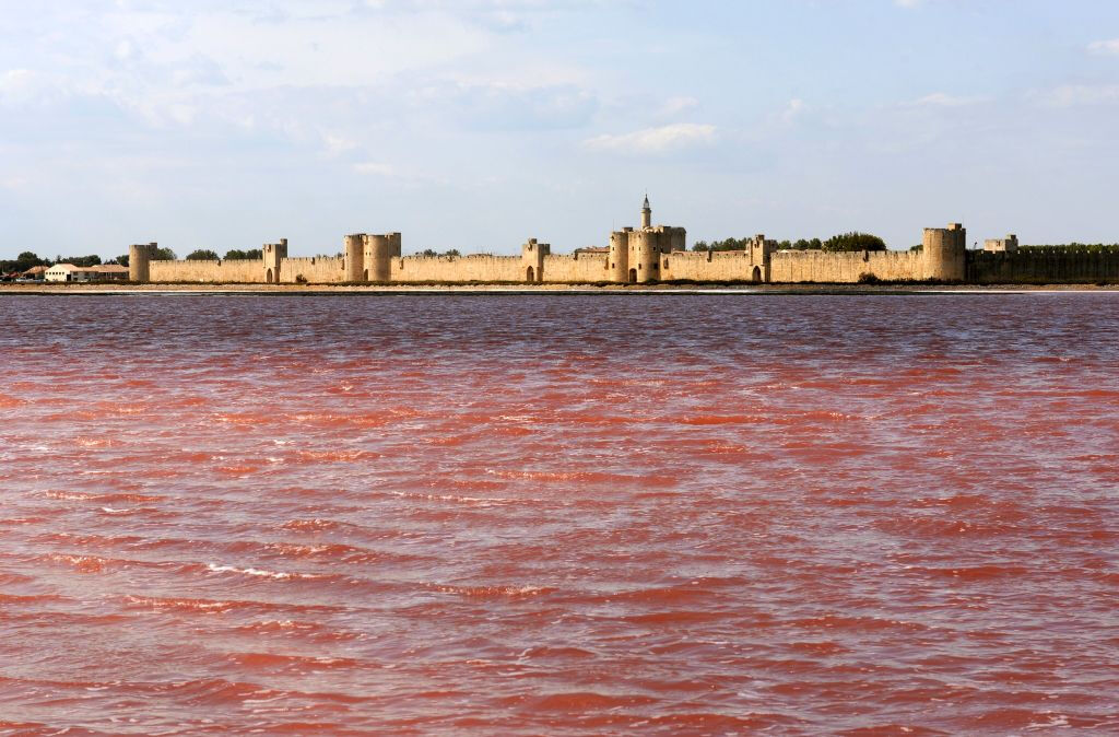 Tours et Remparts d’Aigues-Mortes: Entry Ticket