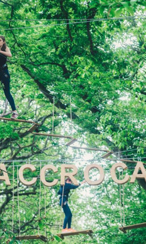 AccroCamp: Saint-Germain-en-Laye