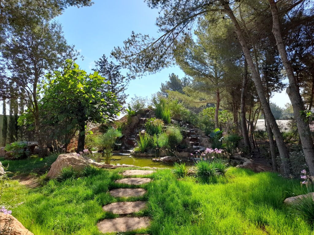 BiBo Park: El Jardín Botánico Biotecnológico de Ibiza