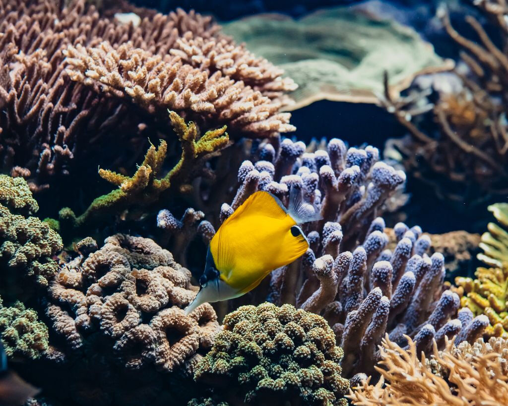 Aquarium du Grand Lyon: Entrada