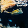 Aquarium du Grand Lyon: Entry Ticket