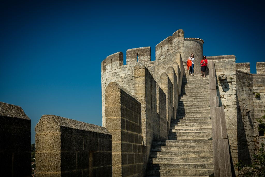 Fort Saint-André: Bilhete de entrada