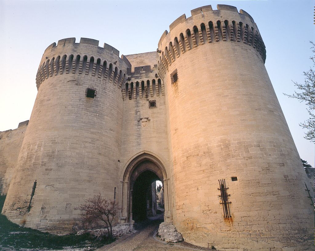 Fort Saint-André: Billet d'entrée