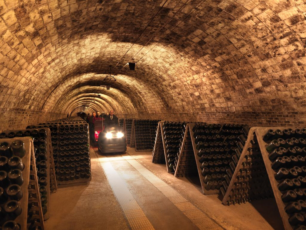 Codorníu Wineries - Guided Tours