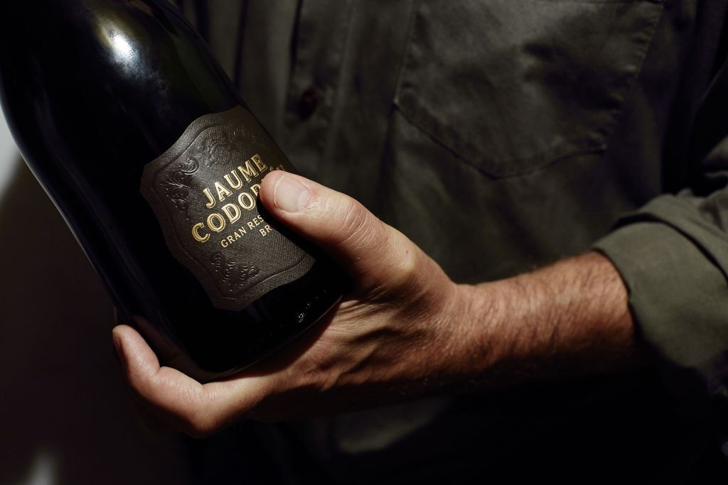 Codorníu Wineries - Guided Tours