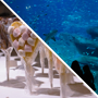 Choco-Story Parigi + Acquario di Parigi