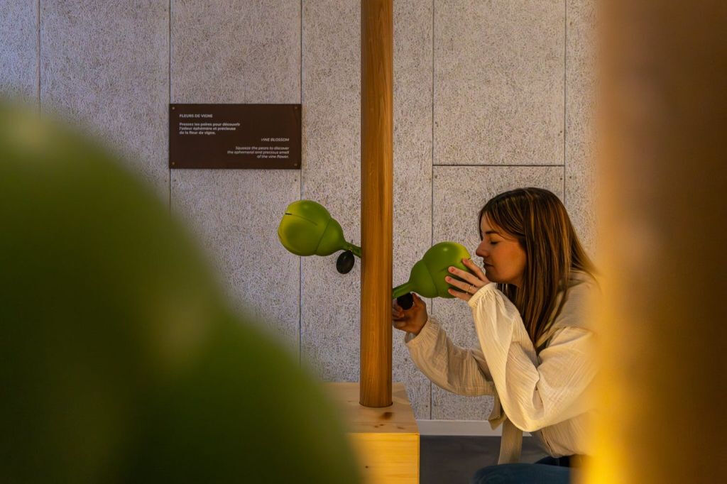 PRESSORIA - Un voyage sensoriel au cœur du champagne