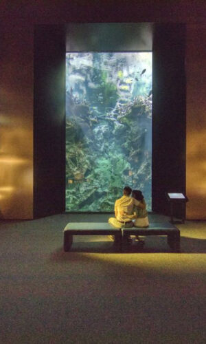 La Cité de la Mer: Billet d'entrée + Audioguide