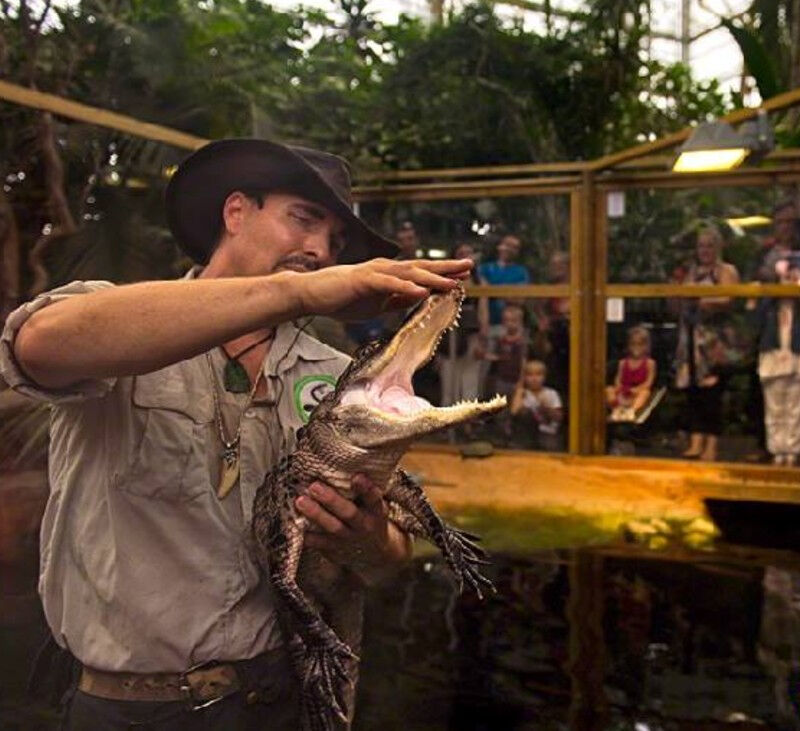 Planet Exotica : Billet d'entrée