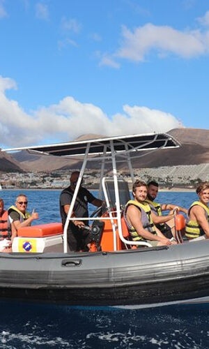 Dolphin Watching in Fuerteventura