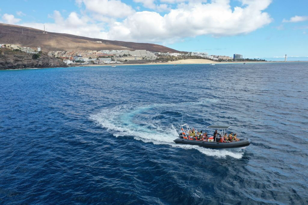 Observation des dauphins à Fuerteventura