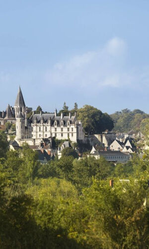 Cité royale de Loches: Billet d'entrée + Audioguide