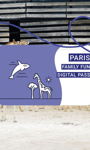 Paris Family Fun Pass