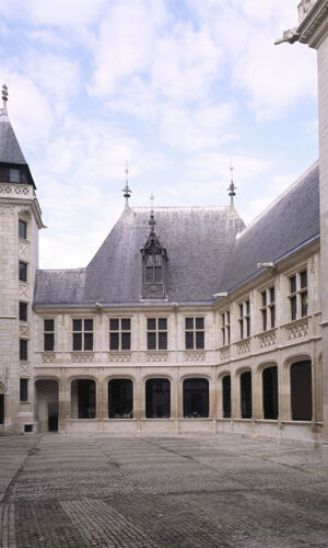 Palais Jacques Cœur: Billet d'entrée