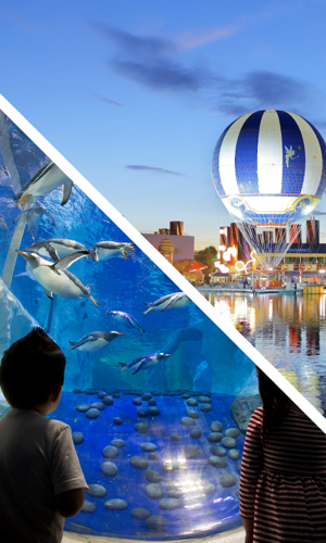 Balloon PanoraMagique + Sea Life Paris Package