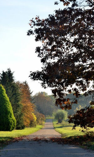 Arboretum de Chèvreloup: Entry Ticket
