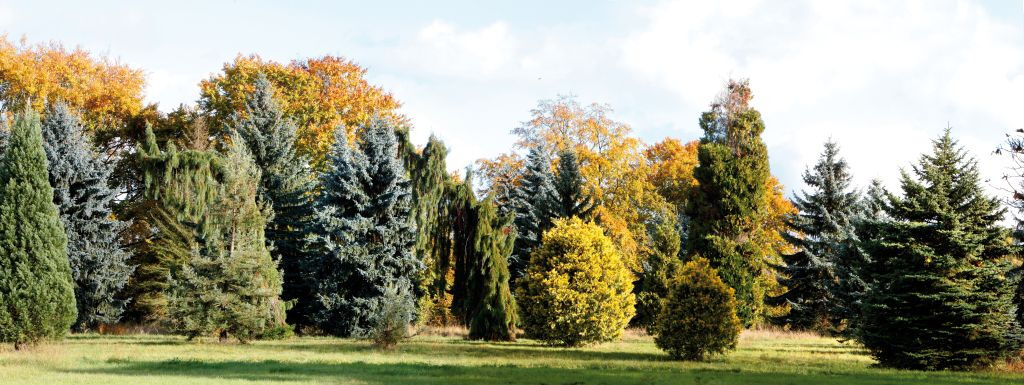 Arboretum de Chèvreloup: Bilhete de entrada