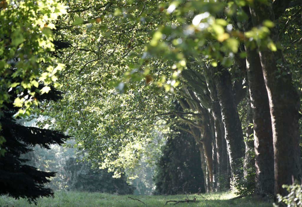Arboretum de Chèvreloup: Bilhete de entrada