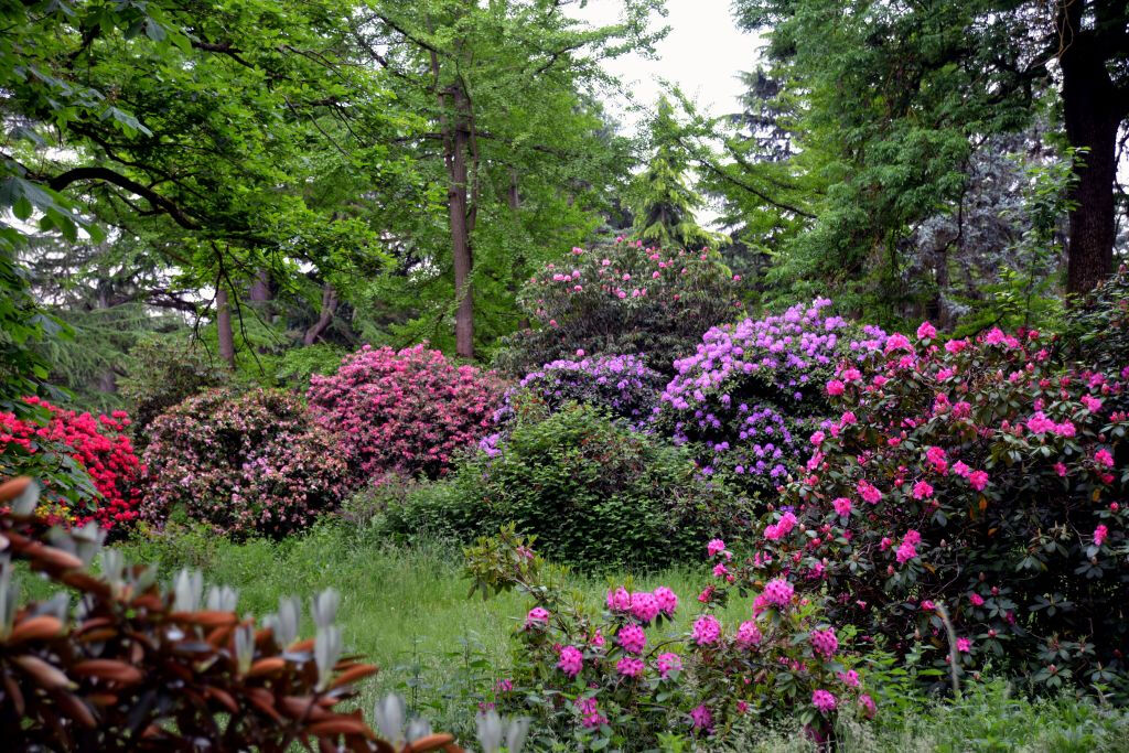 Arboretum de Chèvreloup: Bilhete de entrada