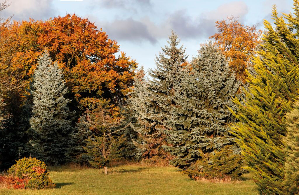 Arboretum de Chèvreloup: Bilhete de entrada