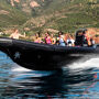 Massif de l'Esterel Excursion by Boat