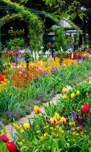 Monet's Garden in Giverny: Half-Day Guided Tour from Paris